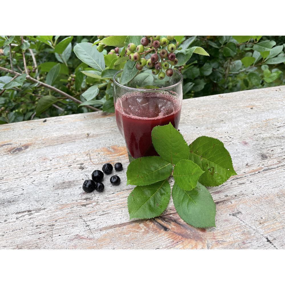 Product gallery 28274412