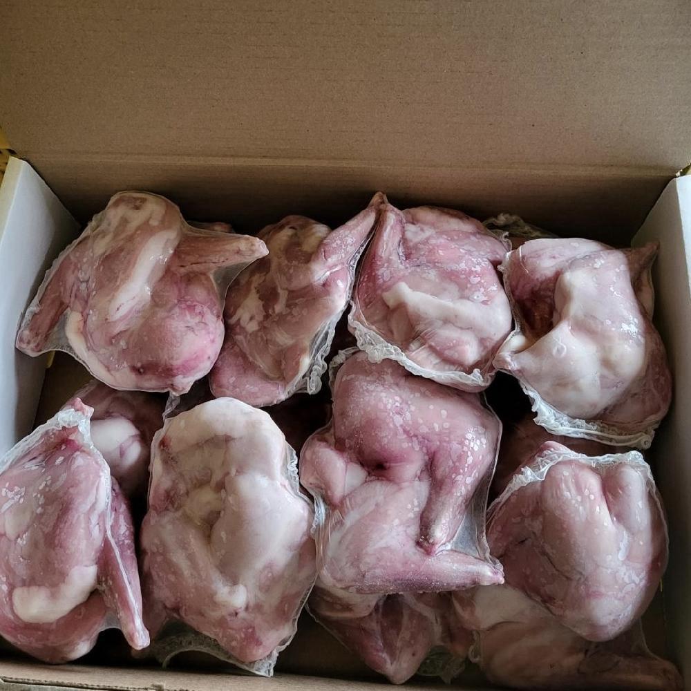 Product gallery 660831776