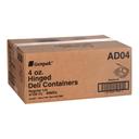 Clear APET Hinged Rectangle Container