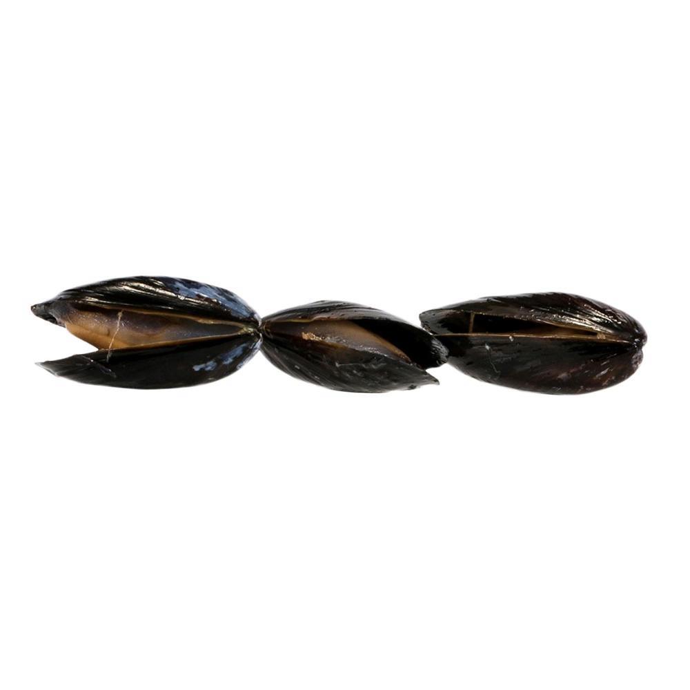 Product gallery 11260364