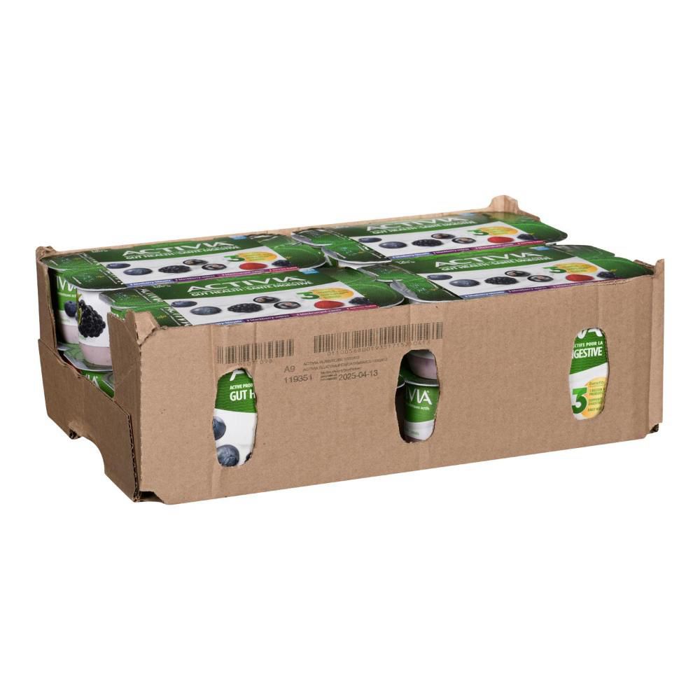 Activia Yaourt Aux Myrtilles, Aux Mûres, Aux Baies Et Au Cassis, 100 G -- 48 Par Boîte