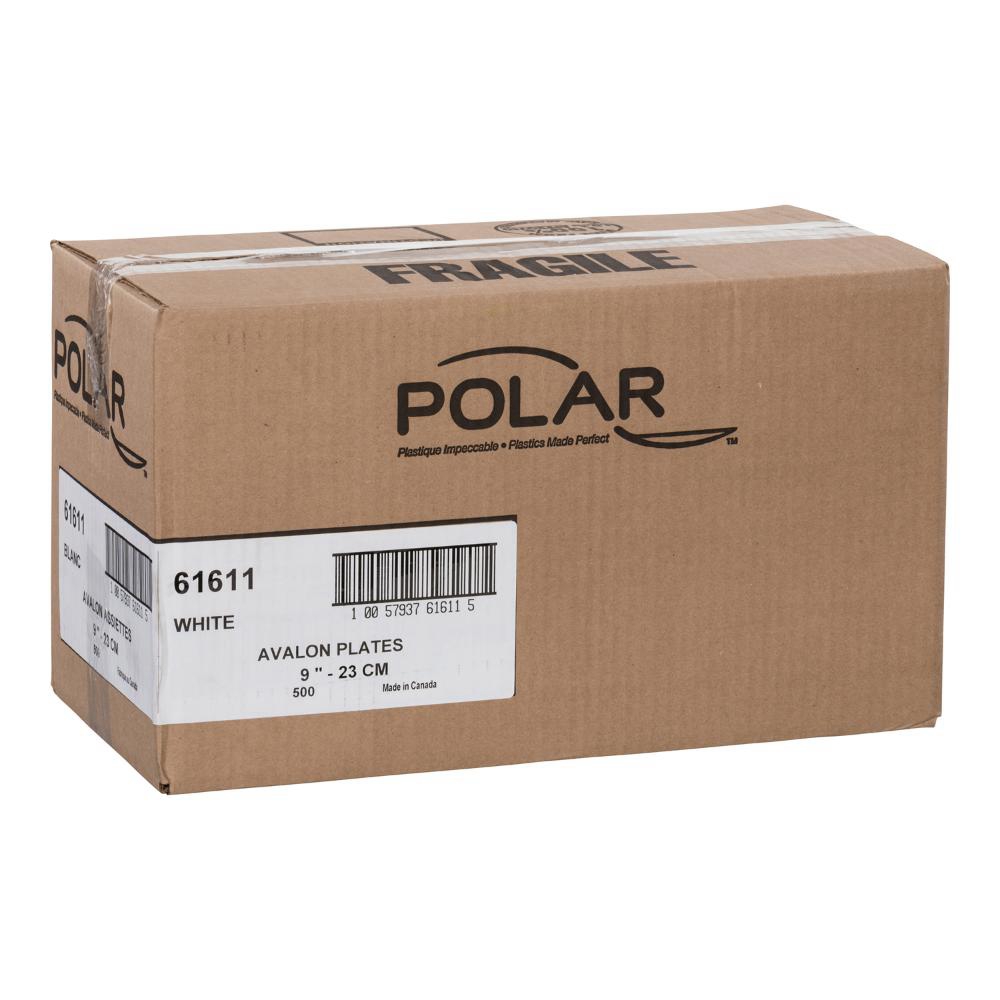 Polar 9 in White Plastic Plate