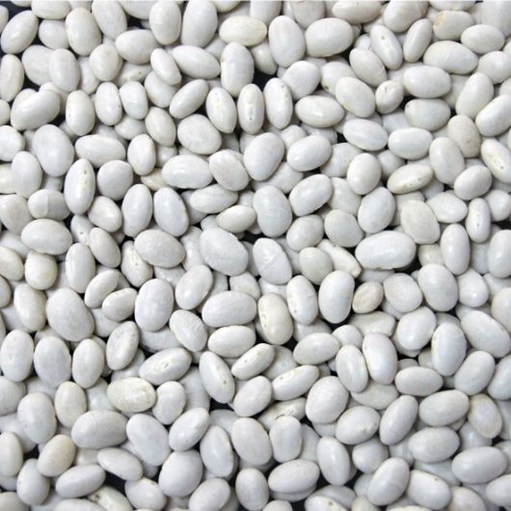 Jack Rabbit Navy Beans, 20 Pound