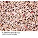 Commodity Triple Clean Pinto Bean, 25 Pound