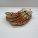 Dungeness Crab Sections