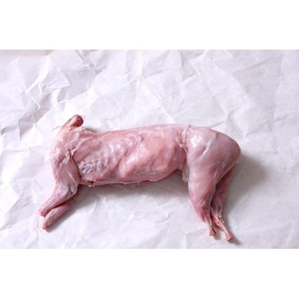 Natural State Whole Domestic Fryers Rabbit, 3 Pound -- 6 Per Case