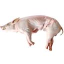 Whole Pig
