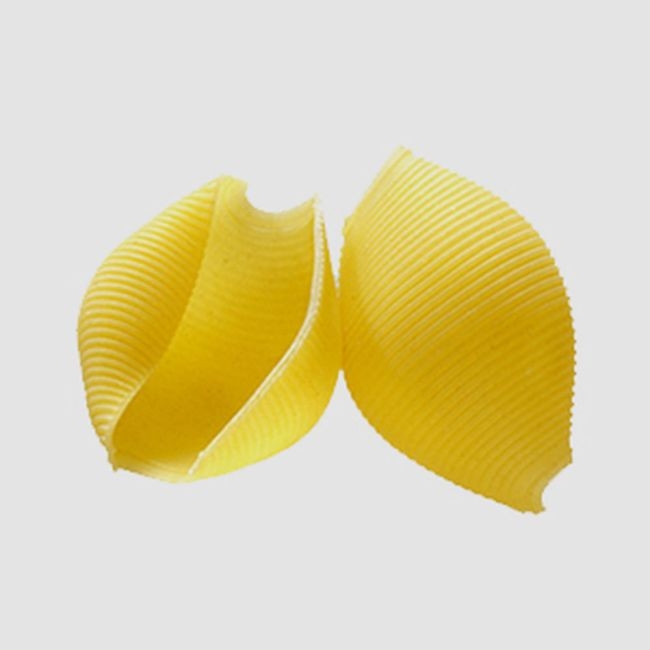 Jumbo Shell Pasta