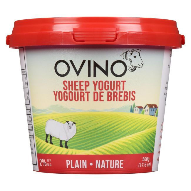 Ovino 2 Percent Milk Fat Plain Sheep Yogurt, 500 G -- 6 Per Case