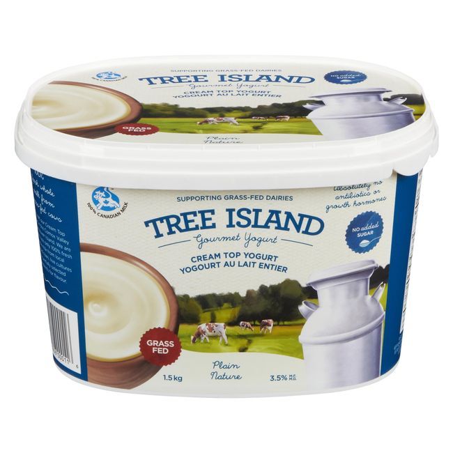 Tree Island Cream Top Plain Yogurt, 1.5 Kg -- 4 Per Case