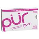 Pomegranate Mint Gum