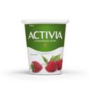 Raspberry Probiotics Yogurt