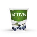 Blueberry Probiotics Yogurt