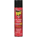 Ant Roach and Earwig Insect Killer