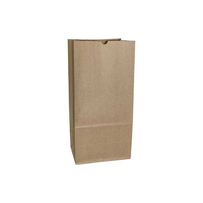 Gallipack Kraft Paper Bag, 8 Lb Capacity -- 500 Per Case