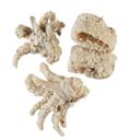 Salt and Pepper Squid Ring Tentacle