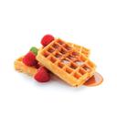Black Silicone 20 Cavities Waffle Mold