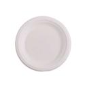 Disposable White Molded Fiber Plate