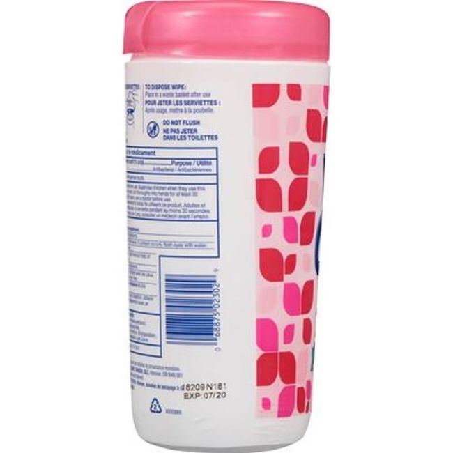 Fresh Scent Antibacterial Wet Towels