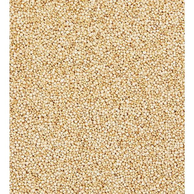 Product gallery 887488180