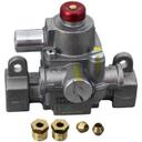 GARCKG01479-01 TS Safety Valve Kit
