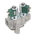 GROZ098443 1/2 in FPT Baso Gas Safety Valve