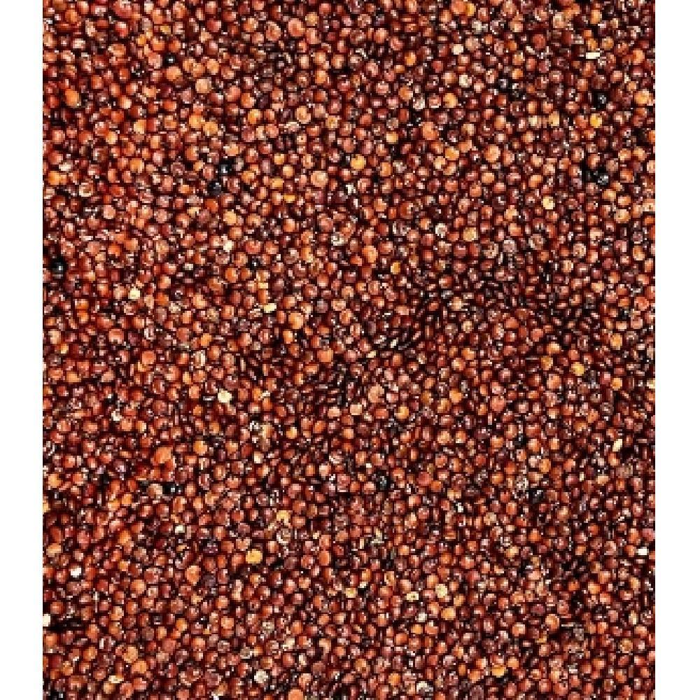 Product gallery 146509910