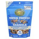 Organic Blueberry Cinnamon Protein Granola