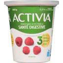 Raspberry Probiotics Yogurt