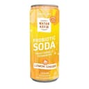 Lemon Ginger Sparkling Probiotic Soda