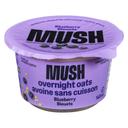 Blueberry Overnight Oats